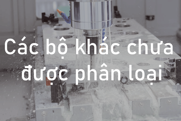 Các bộ khác chưa được phân loại