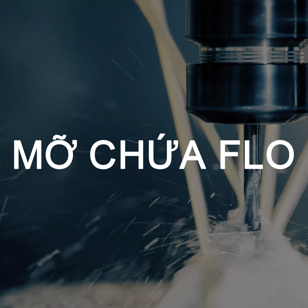 Mỡ chứa Flo